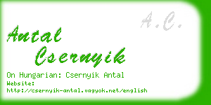 antal csernyik business card